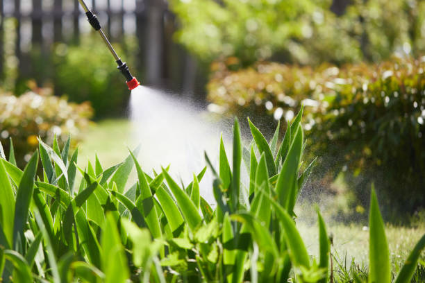 24/7 Emergency Mosquito Control experts in West Babylon, NY