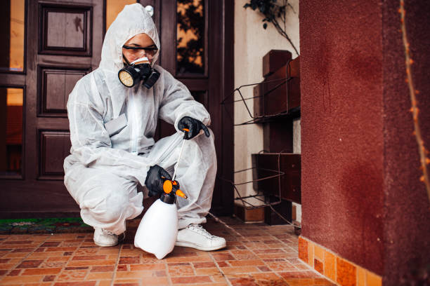 Reliable Mosquito Control contractor in West Babylon, NY by Show Me Pest Control